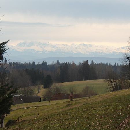 Haus Ingeborg Διαμέρισμα Dachsberg im Schwarzwald Εξωτερικό φωτογραφία