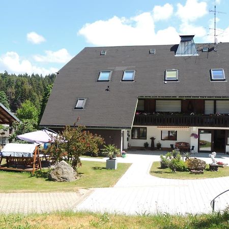 Haus Ingeborg Διαμέρισμα Dachsberg im Schwarzwald Εξωτερικό φωτογραφία