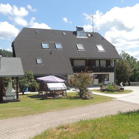 Haus Ingeborg Διαμέρισμα Dachsberg im Schwarzwald Εξωτερικό φωτογραφία