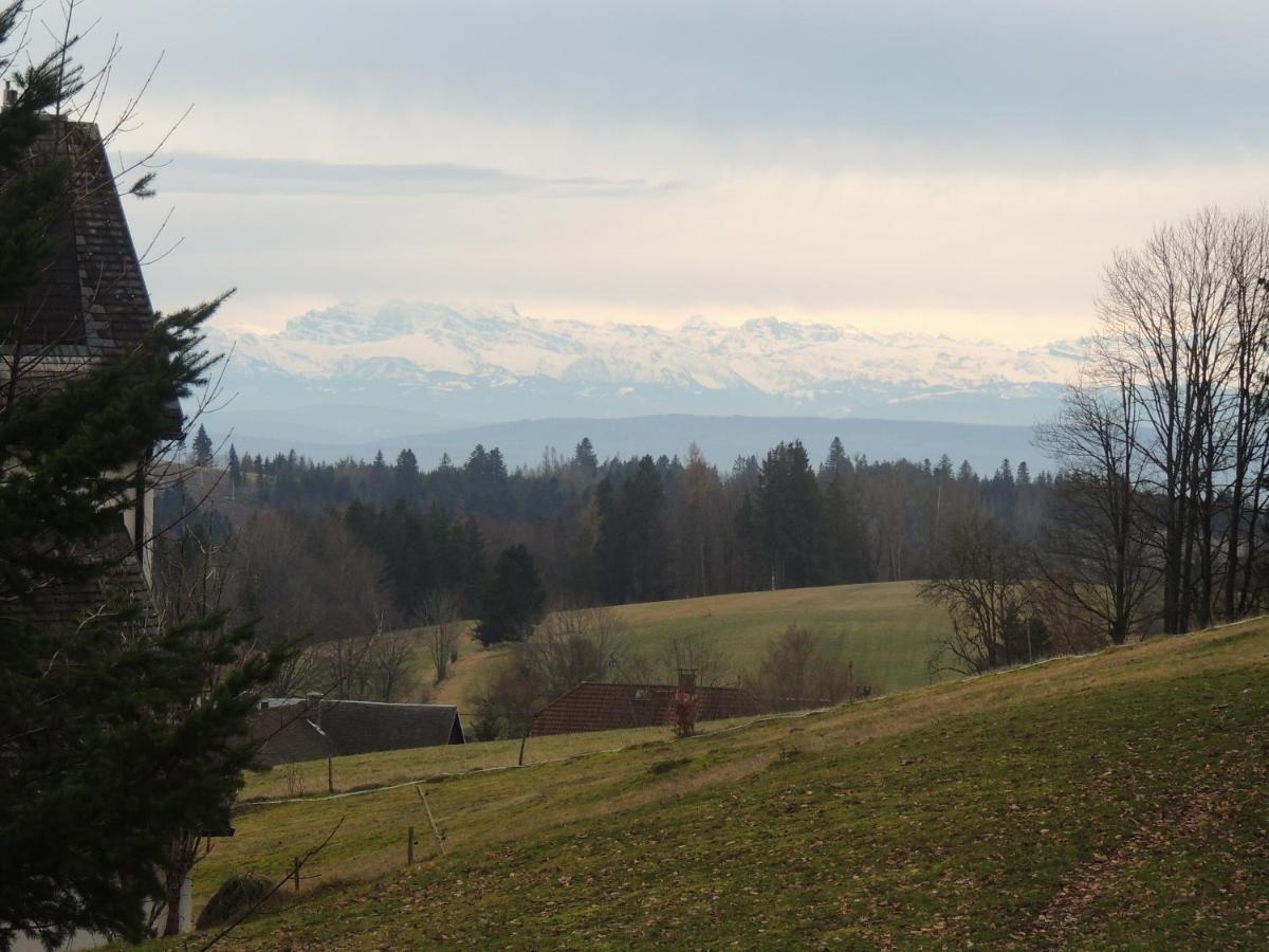 Haus Ingeborg Διαμέρισμα Dachsberg im Schwarzwald Εξωτερικό φωτογραφία