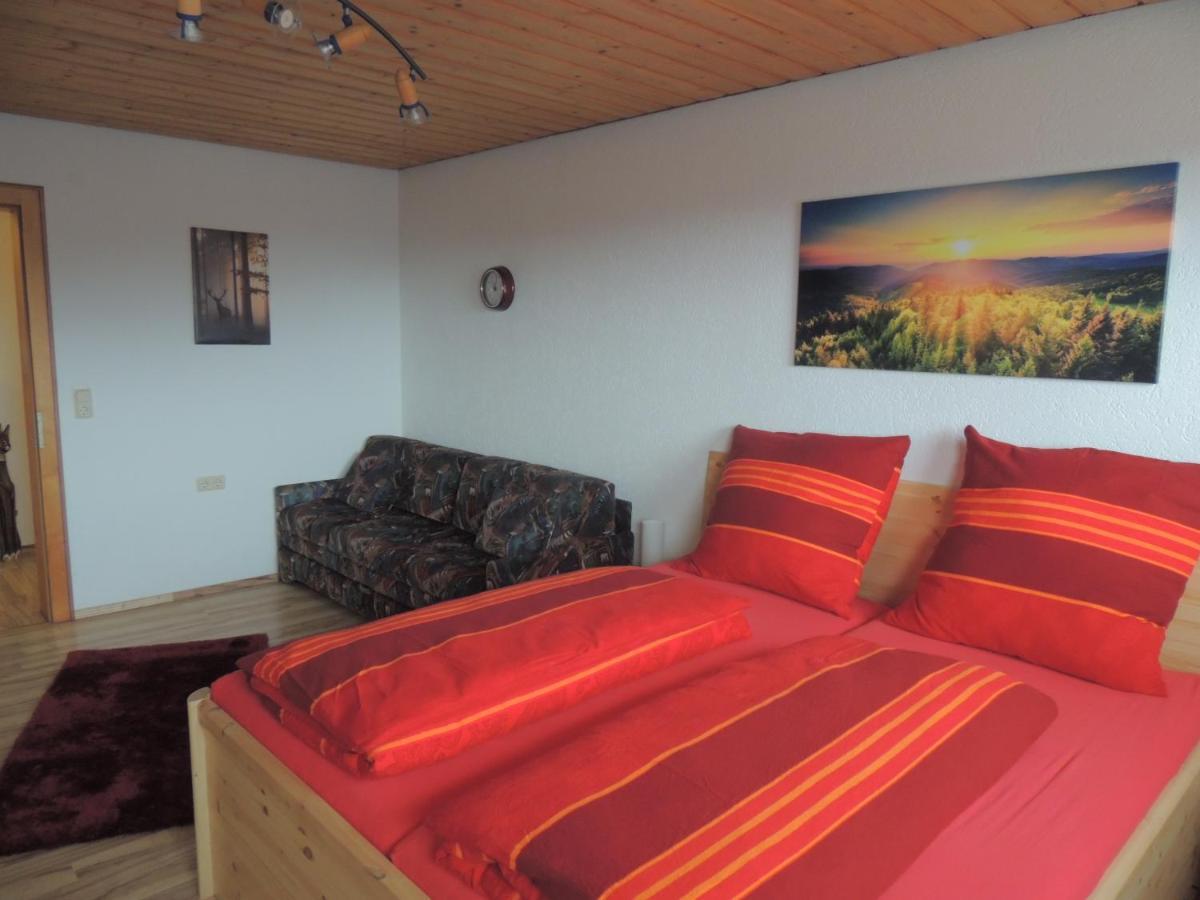 Haus Ingeborg Διαμέρισμα Dachsberg im Schwarzwald Εξωτερικό φωτογραφία