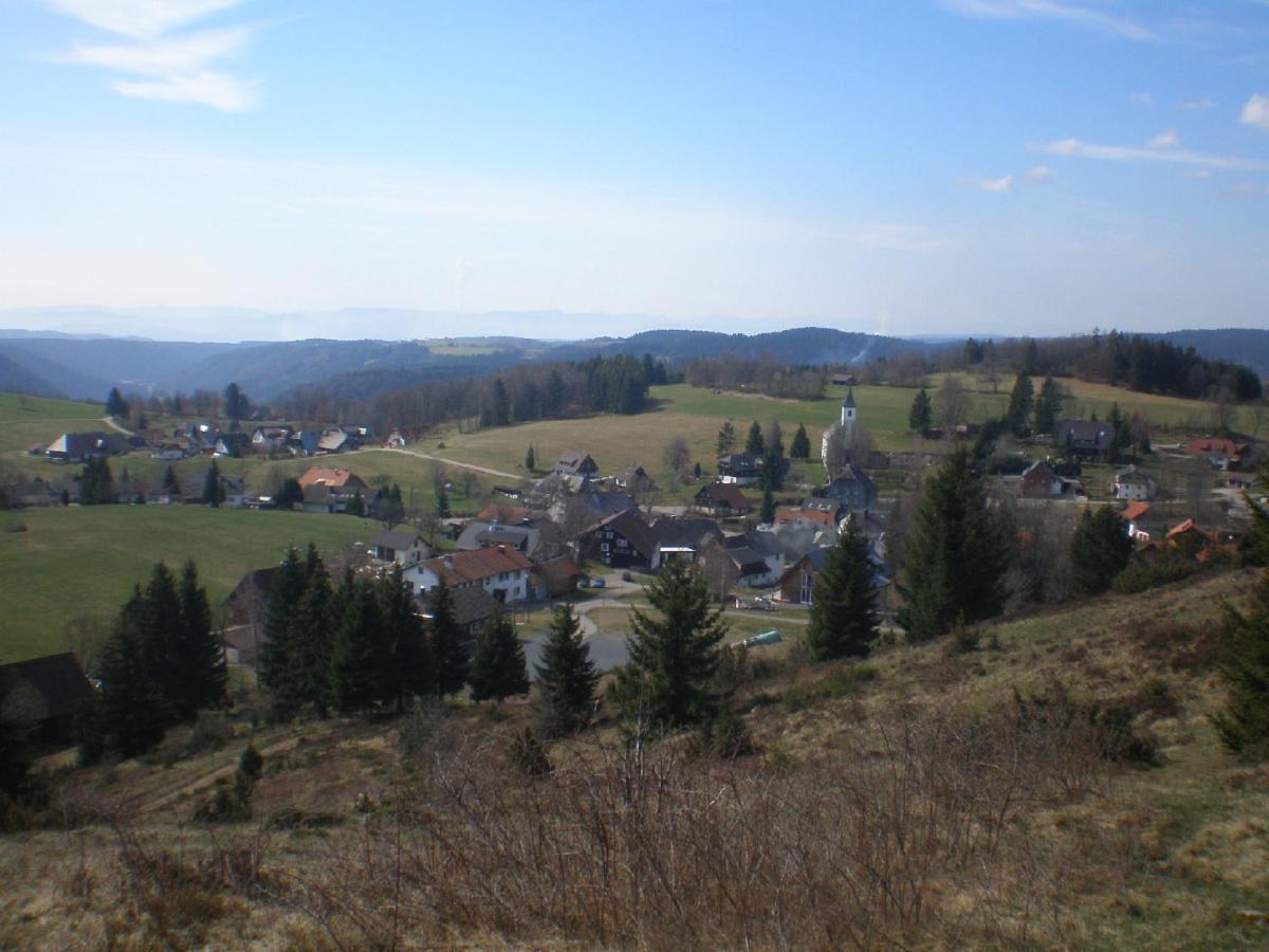 Haus Ingeborg Διαμέρισμα Dachsberg im Schwarzwald Εξωτερικό φωτογραφία