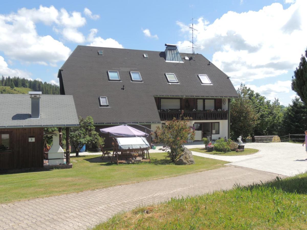 Haus Ingeborg Διαμέρισμα Dachsberg im Schwarzwald Εξωτερικό φωτογραφία