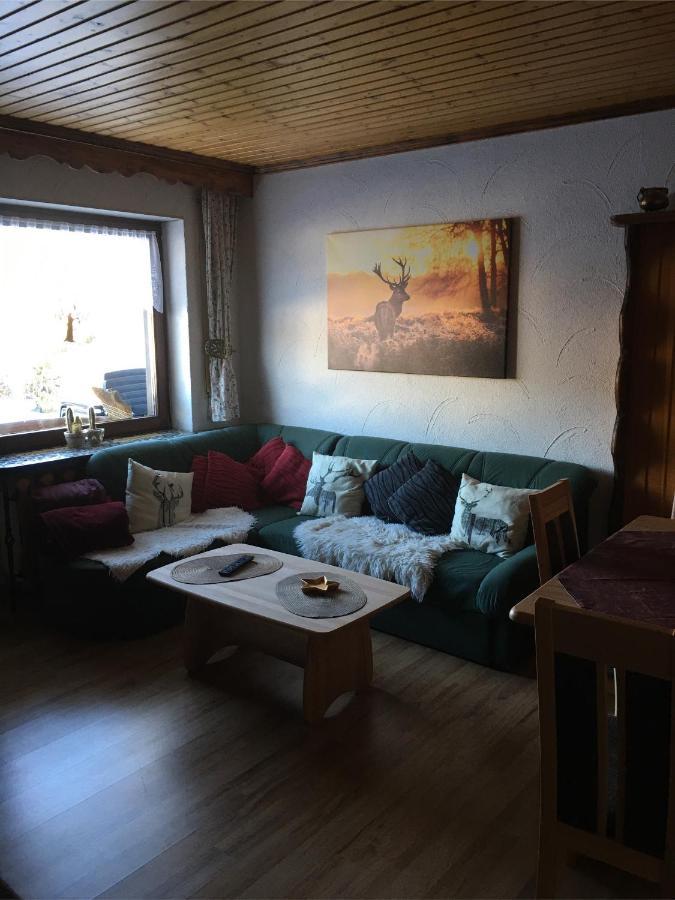 Haus Ingeborg Διαμέρισμα Dachsberg im Schwarzwald Εξωτερικό φωτογραφία