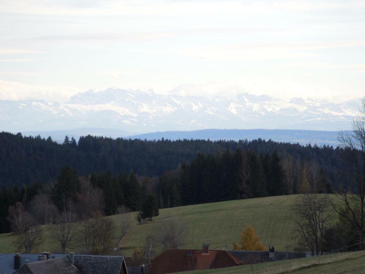 Haus Ingeborg Διαμέρισμα Dachsberg im Schwarzwald Εξωτερικό φωτογραφία