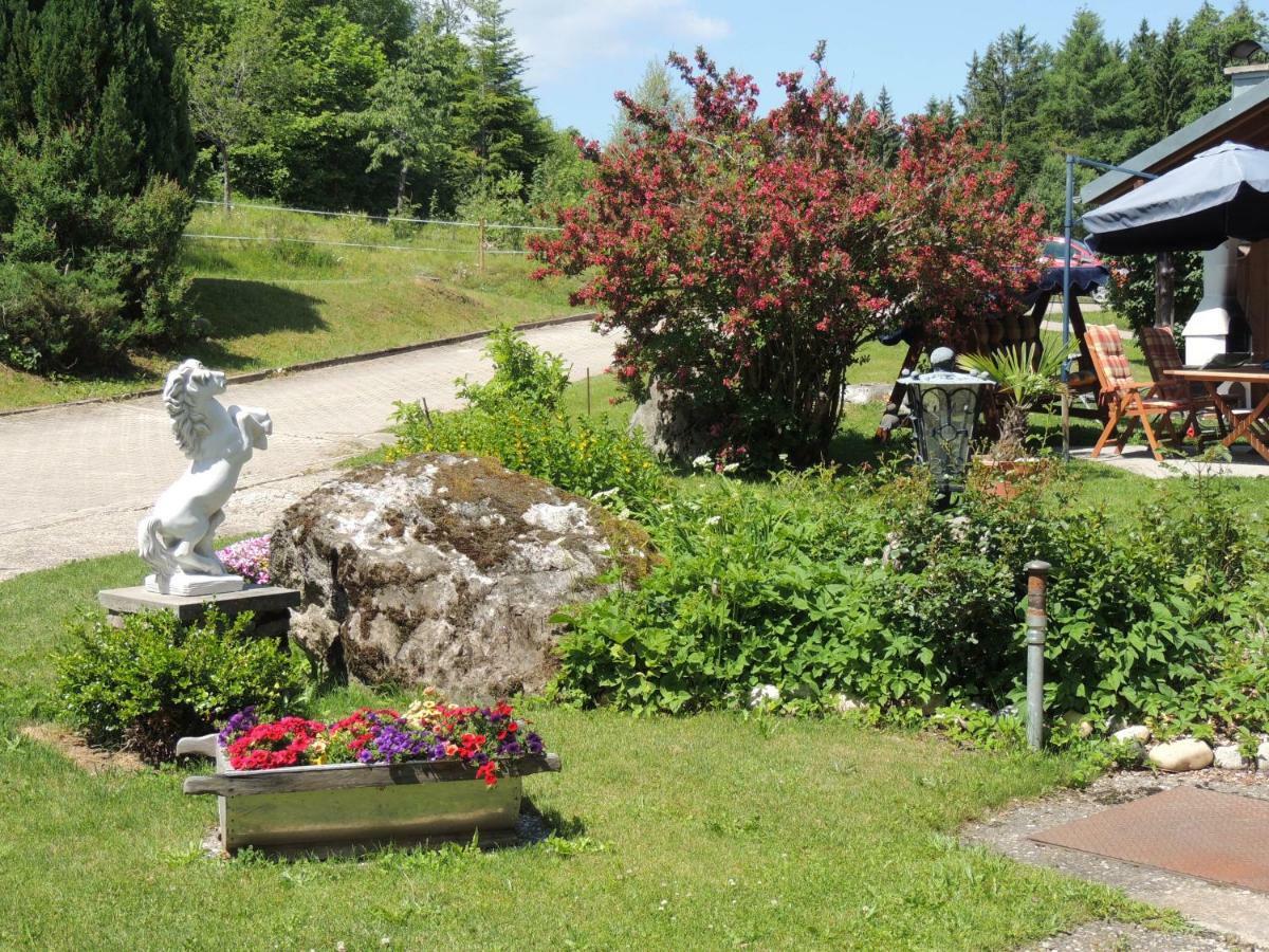 Haus Ingeborg Διαμέρισμα Dachsberg im Schwarzwald Εξωτερικό φωτογραφία